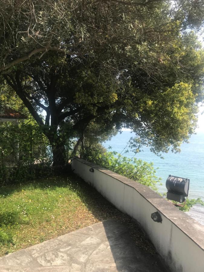 Zeusplace Seaside Home Private Beach And Parking Plaka Litochorou Esterno foto