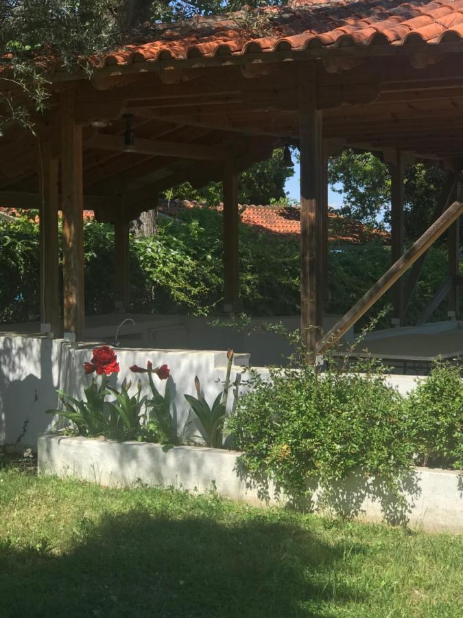 Zeusplace Seaside Home Private Beach And Parking Plaka Litochorou Esterno foto
